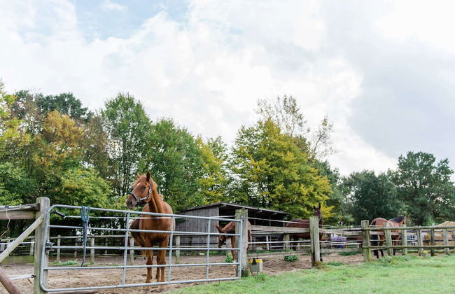 Blockhauser auf Reiterhof in Eschede - Foto 46