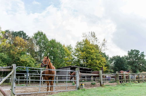 Photo 20 - Holiday Home on a Riding Stable in Luneburg Heath