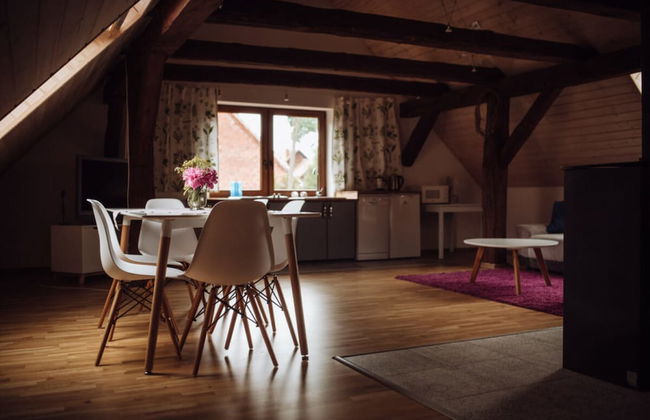 Apartment in Gronowo Near Lake Siecino - Foto 9