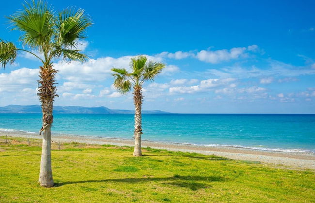 Villa Tsikkos Ena in Argaka - Photo 48