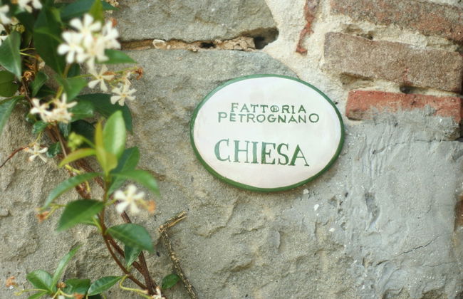 Fattoria Gambaro di Petrognano - Foto 47