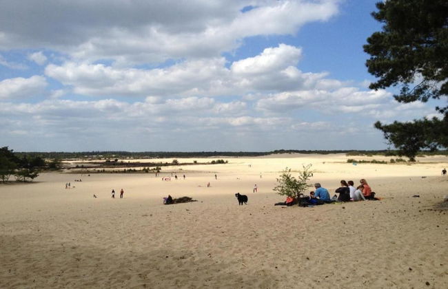 Chalet Near Loonse and Drunense Duinen - Foto 29