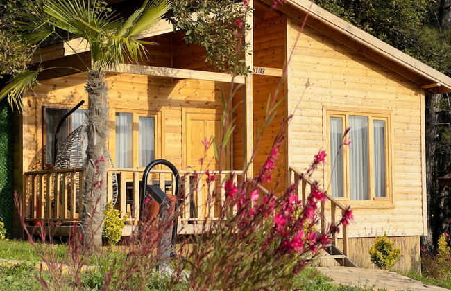 Koru Aura Mengen - Foto 8