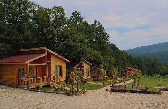 Koru Aura Mengen - Foto 23