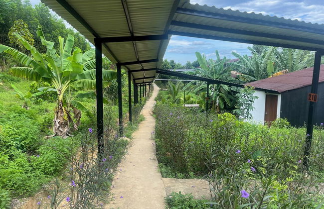 Nguyen Shack Retreat - Photo 24