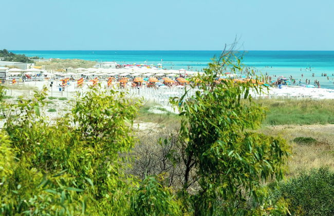 Casa vacanza Appartamento Spiaggiati - Foto 47