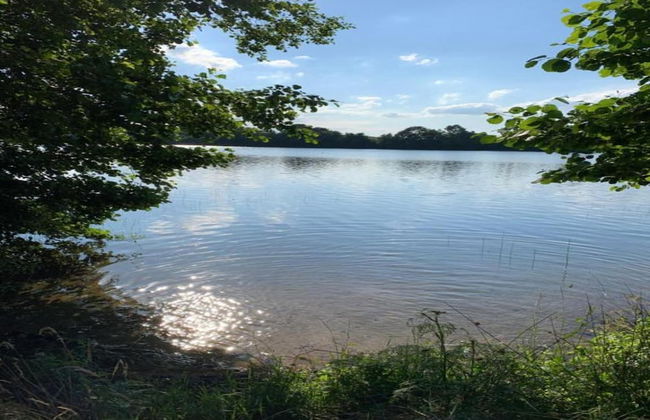 Holiday Home Near Forest and Lake in Pomeranian - Foto 34