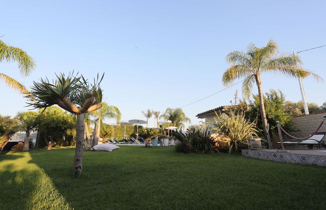 Dea Degli Ulivi House - Foto 41