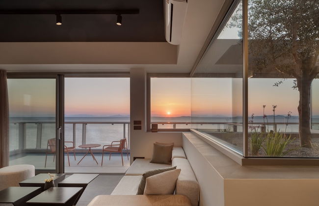 3 Olive Trees - Foto 25