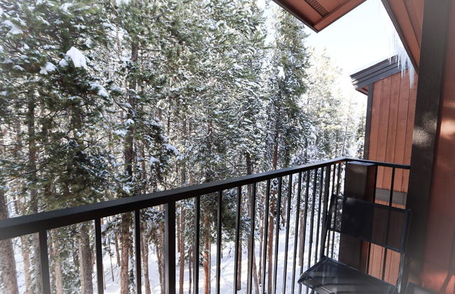 Whisk Away to Winter Park! 2 BDR 5 Min From Skiing - Foto 25
