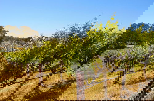 Foto 41 - Mclaren Vale Vineyard Homestead