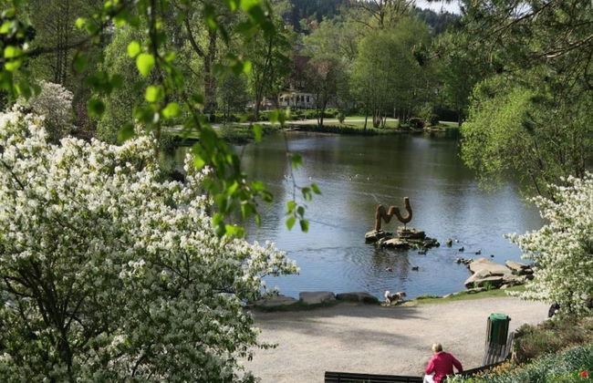 Comfortable Waterfront Apartment in Hahnenklee - Photo 79