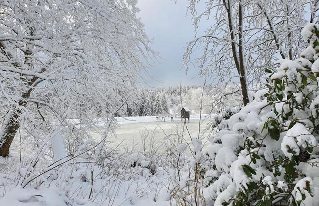 Comfortable Waterfront Apartment in Hahnenklee - Photo 80