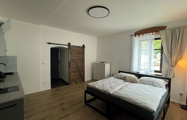 Family Apartments Černice - Foto 10