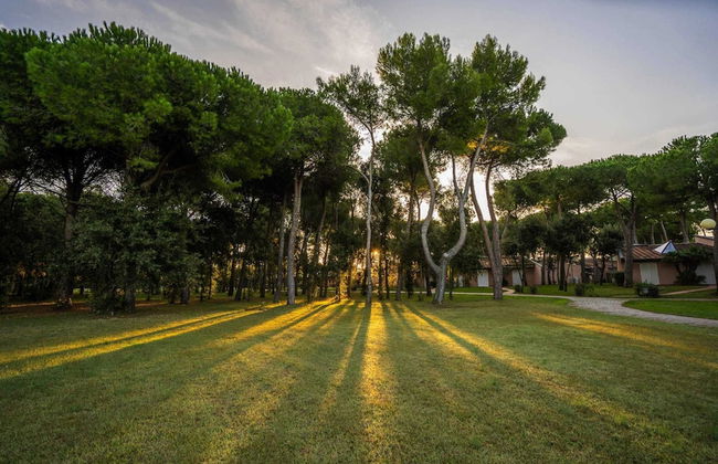 Bungalow in San Vincenzo With Sun Shower - Foto 14