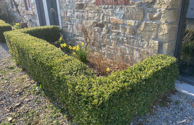 Holiday Home With Sauna in Sourbrodt - Foto 34