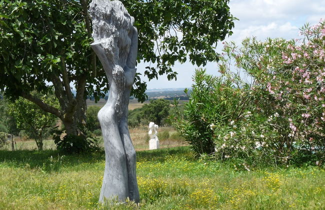 MirArte - Foto 63