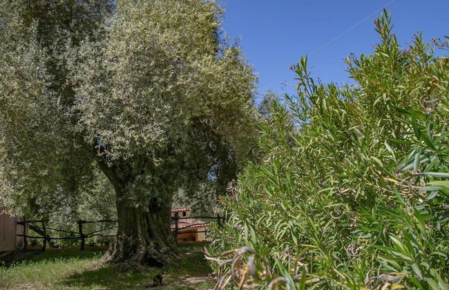 Welcomely - Country House Muristene- Iris - Foto 11