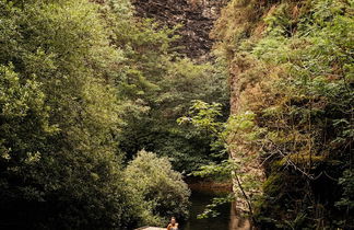 Photo 2 - K2 Kudhva Treehouse Cabin for 2 in Tintagel