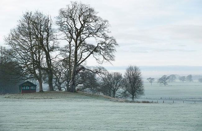 Luxury Lodge With Garden in the Grade II Listed Netherby Hall - Foto 23