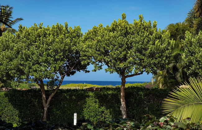 Maui Kaanapali Villas by KBM - Foto 51