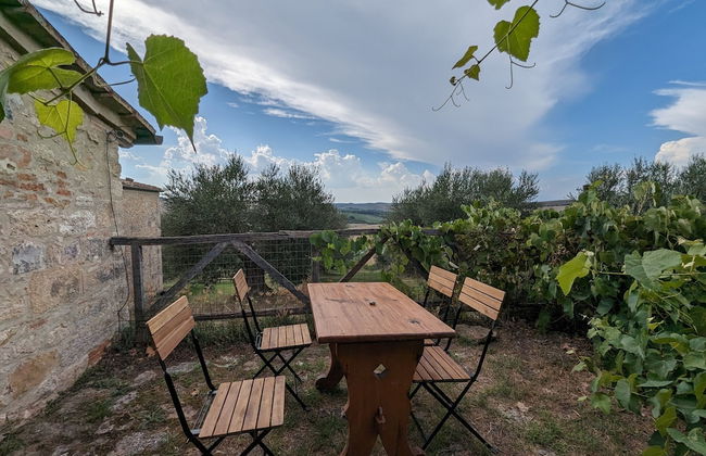 Podere Spedalone - Foto 70