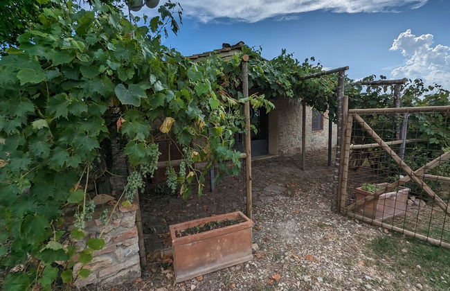 Podere Spedalone - Foto 71