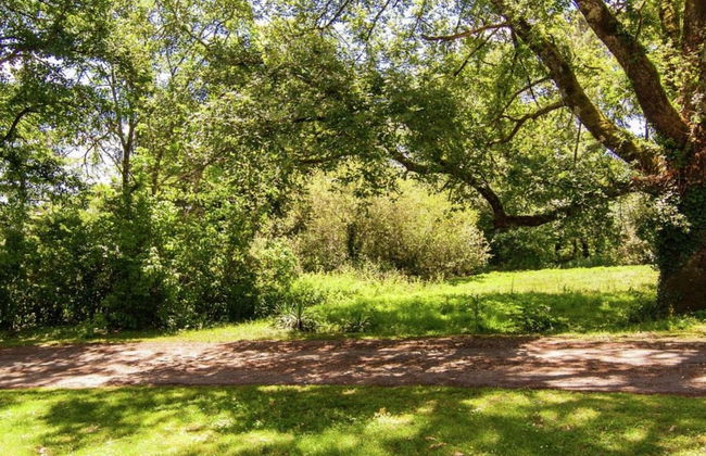 Holiday Home Le Fournil in Manhay With Garden - Foto 22