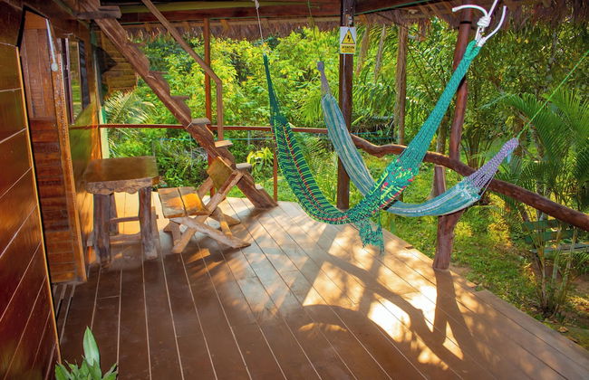 Tronco Tambopata Adventure - Foto 19