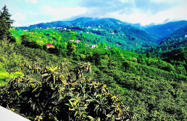 Five Stars Apart Bungalov - Photo 50