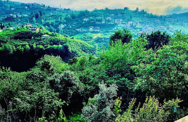 Five Stars Apart Bungalov - Photo 49