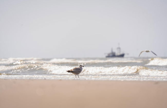 Beach House in Wijk aan Zee With Sea Views - Foto 21