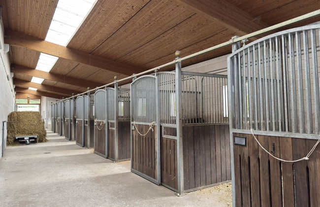 Cozy Holiday Home on a Horse Farm in the Luneburg Heath - Foto 48