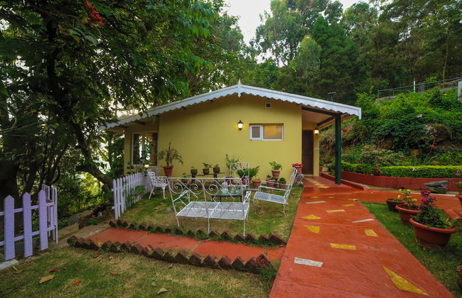 Rayne Forest - Foto 12