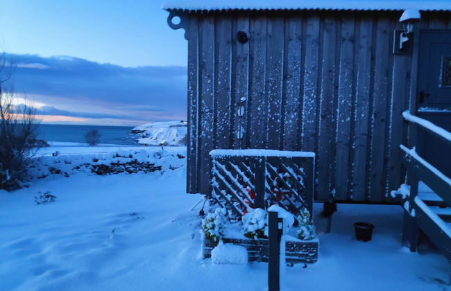 Bespoke Hand Built Shepherds Hut in Dunbeath - Foto 25