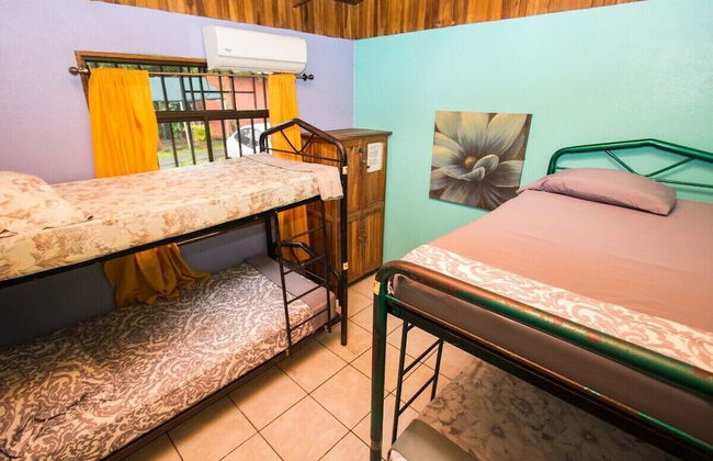 Pura Natura Lodge - Foto 63