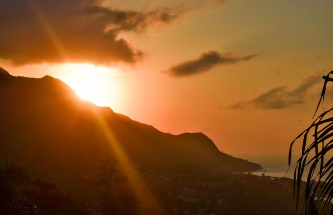 Wild Vanilla Apartment - Foto 35