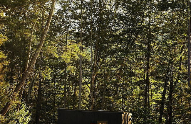 Postcard Cabins Eastern Catskills, Outdoor Collection by Marriott Bonvoy - Foto 31