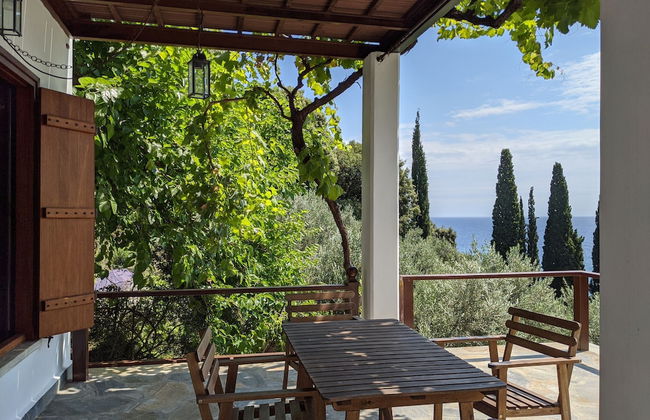 Daria's home at Pelion - Photo 29