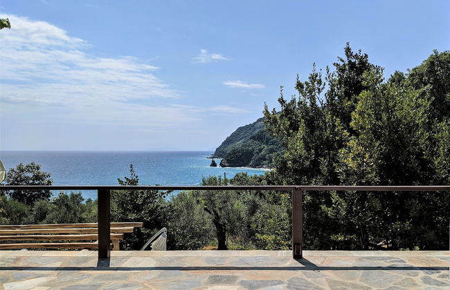 Daria's home at Pelion - Photo 27