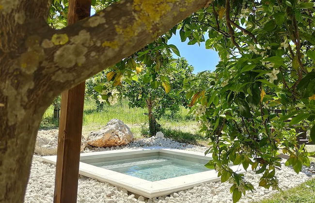 AgriBarocco - Foto 32