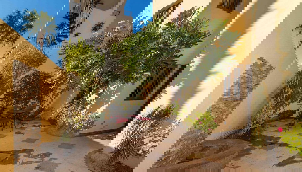Primary image