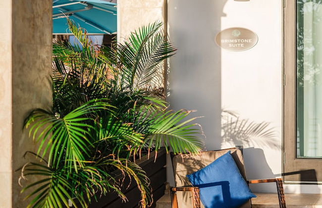 Sunset Reef St.Kitts - Photo 19