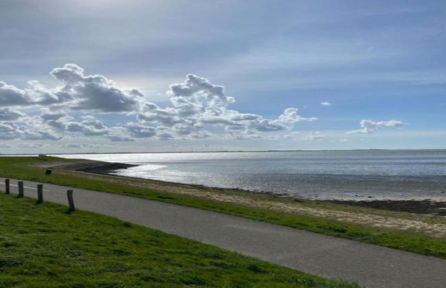Zeeland Family Retreat - Photo 52