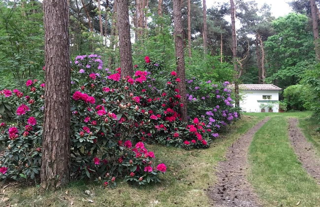 Gierle Garden Bungalow Escape - Foto 30