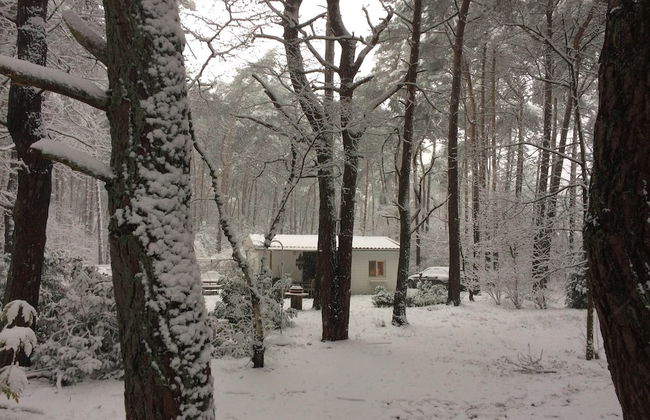 Gierle Garden Bungalow Escape - Foto 28