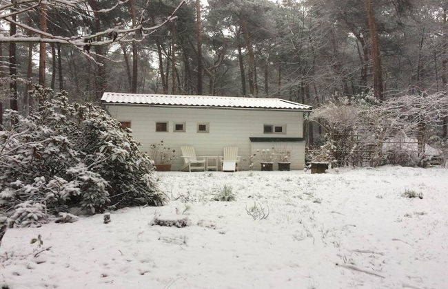 Gierle Garden Bungalow Escape - Foto 31