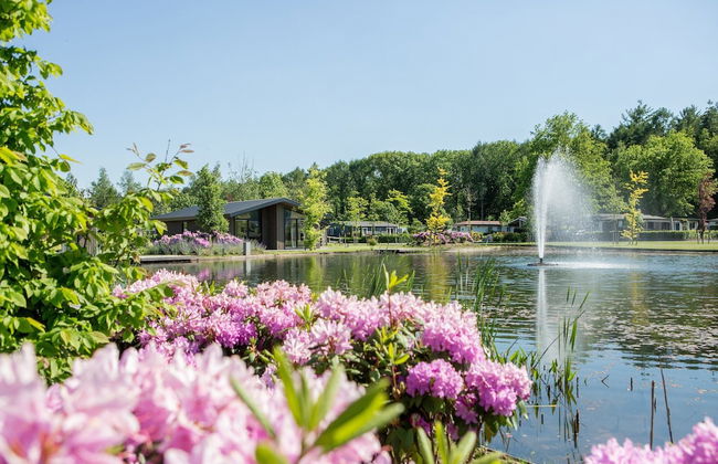Chalet by Park Pond in the Netherlands - Foto 18