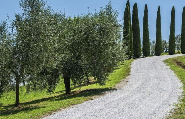 Villa Miniato Comfortable Holiday Residence - Photo 38