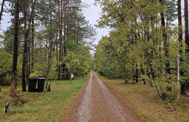 6 Person Holiday Home in Store Fuglede-by Traum - Foto 9